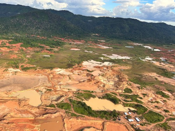 Schlammige Gruben und rostbraune Wasserlöcher durchziehen den Regenwald. - © Philipp Znidar/dpa