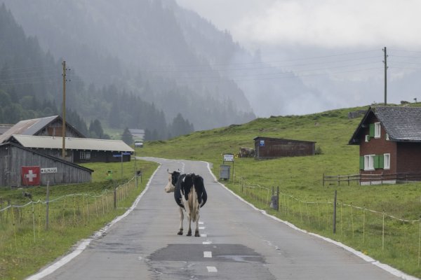 «Die Zahl der Deutschen mit Wohnsitz in der Schweiz steigt seit Jahren kontinuierlich», berichtete die Statistikbehörde. Binnen zehn Jahren erhöhte sich die Zahl der Deutschen in der Schweiz um 10,7 Prozent. (Archivfoto) - © Urs Flueeler/KEYSTONE/dpa
