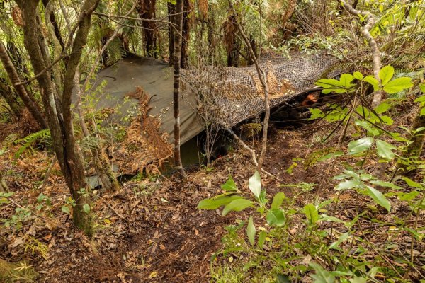Das Hauptlager wurde in einem dichten Wald auf der Nordinsel entdeckt. - © NZ Police/dpa