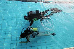 Unter Wasser in Aktion. - &copy; Bernhard Preuss