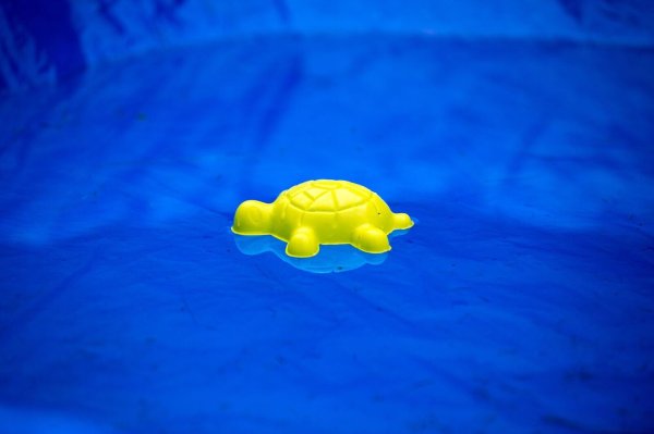 Die vermissten Kinder wurden tot in einem privaten Pool gefunden. (Symbolbild) - © picture alliance / Arno Burgi/dpa-Zentralbild/ZB