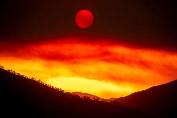 Das sogenannte «Gifford Fire» wütet im Los Padres National Forest, einem Waldgebiet nördlich von Santa Barbara. - © Noah Berger/AP/dpa