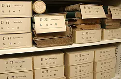 Mehr als staubige Akten und B&uuml;cher. - &copy; Foto: SANDRA SPIEKER