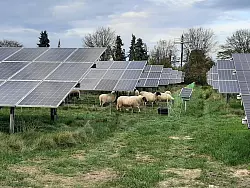 Seit 2020 betreiben die Stadtwerke ein Solarkraftwerk an der Ellernbrede in Wülfer-Bexten. - © Stadtwerke Bad Salzuflen