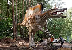 300 lebensechte Dino-Nachbildungen gibt es im Dinopark Münchehagen. - © Holger Hollemann/dpa
