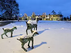 Leopoldsh&ouml;her Marktplatz: Der erste Schnee des Jahres 2026. - &copy; Petra Gehle