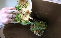 Biomüll sollte ohne Plastiktüte in die Biotonne kommen - selbst wenn es sich um kompostierbare Tüten handelt. - © Peter Steffen/dpa