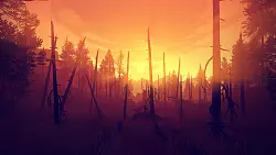 Ein stimmungsvoller Sonnenuntergang über einer abgebrannten Waldfläche – ein Bild, das wir in den vergangenen Jahren leider öfter in der Realität gesehen haben, als uns lieb sein dürfte. - © Campo Santo