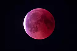 Charakteristisch f&uuml;r den Blutmond ist eine rote F&auml;rbung. - &copy; Endrik Wolff