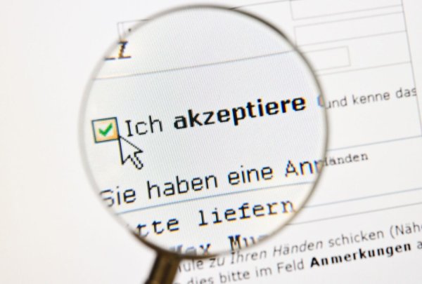 Das Häkchen unter die AGB ist schnell gesetzt - besser ist allerdings vorheriges Lesen und am besten noch ein Abspeichern auf dem Computer. - © Andrea Warnecke/dpa-tmn