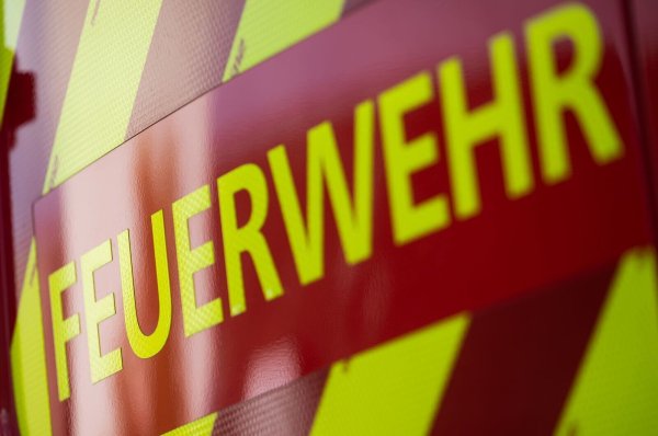 Bei einem Küchenbrand in Dortmund sind am Sonntagabend drei Katzen verendet. - © Marijan Murat/dpa