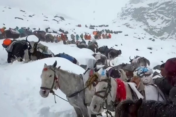 Dorfbewohner stiegen mit Pferden und Ochsen auf den Mount Everest, um zu den Wanderern zu gelangen. (Archivbild) - © Lingsuiye/Xinhua/dpa
