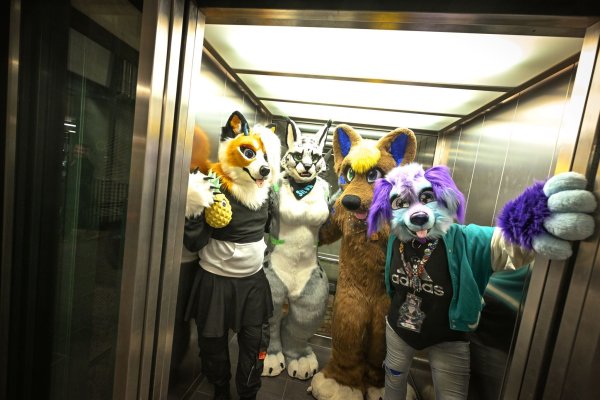 Etwa 100.000 Menschen gehören Schätzungen zufolge mittlerweile dem Furry Fandom in Deutschland an - Tendenz steigend. (Archivbild) - © Felix Kästle/dpa