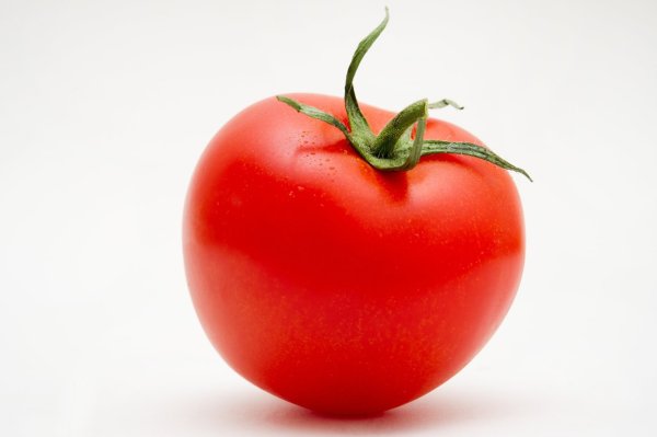 Tomate - © Foto: Franziska Gabbert