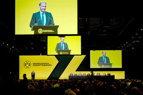 BVB-Geschäftsführer Hans-Joachim Watzke bei der Mitgliederversammlung in Dortmund. - © Bernd Thissen/dpa