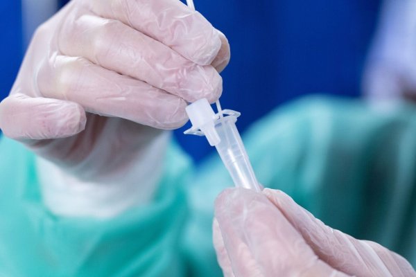 Die Omikron-Sublinie XBB.1.5 wird in den kommenden Monaten auch in Deutschland die dominante Variante werden. - © Sebastian Kahnert/dpa