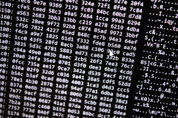 Für Unternehmen können auch die eigenen Angestellten ein Cyberrisiko darstellen, warnt der Versicherer Hiscox. (Archivbild) - © Nicolas Armer/dpa