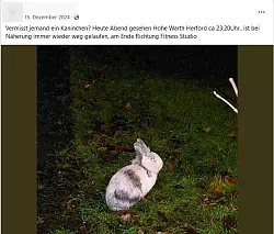 Auf Facebook kursieren Bilder, die ein Kaninchen bereits Mitte Dezember rund um das Herforder "All inclusive"-Fitnessstudio zeigen sollen. - &copy; Screenshot: Facebook