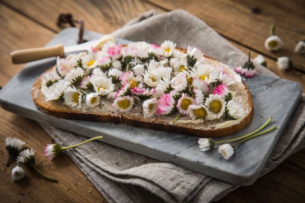So blüht die Stulle auf: Butterbrot mit Gänseblümchen. - © Christin Klose/dpa-tmn/dpa