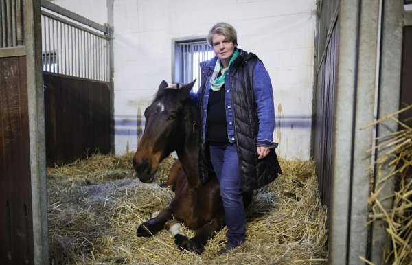 Nadine Wilkens, Landwirtin und Inhaberin einer Pferdepension, hat ihre Tiere vor dem Hochwasser in Sicherheit gebracht. - © Christian Charisius/dpa