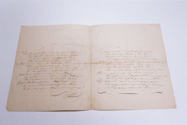 Unsachgemäße Lagerung: Heine-Archivar muss gehen. (Archivbild) - © picture alliance / dpa