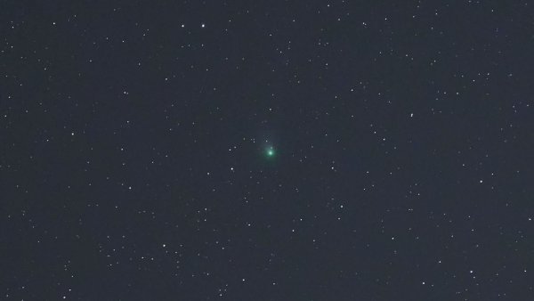 Das Bild zeigt den Komet C/2022 E3 (ZTF) über Drebber in Niedersachsen. - © Thomas Lindemann/TNN/dpa