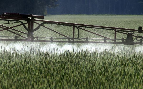 Ein Landwirt versprüht mit einem Spezialgerät Pflanzenschutzmittel über ein Roggenfeld - möglicherweise hat auch er in der Vergangenheit zu viel Geld bezahlt. - © Peter Förster/dpa
