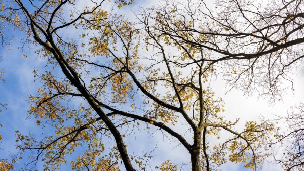 Am Samstag wird es in Nordrhein-Westfalen sonnig. (Archivbild) - © Rolf Vennenbernd/dpa