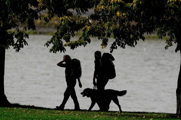 Genug Proviant einpacken und die Distanz langsam steigern: Dann können Hunde ohne Probleme eine Wandertour bewältigen. - © Marius Becker/dpa/dpa-tmn