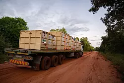 - &copy; Peace Parks Foundation/dpa