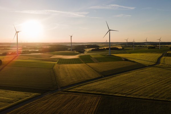 Der Klimawandel hat bei vielen das Bewusstsein für nachhaltige Anlagen geschärft. Zuletzt ist das Interesse aber gesunken. - © Tom Weller/dpa/dpa-tmn