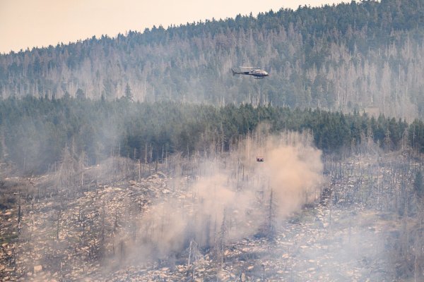 Brandstiftung ist laut Experten nicht ausgeschlossen. - © Swen Pförtner/dpa