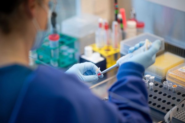 Der Ursprung des Virus Sars-CoV-2 bleibt unklar. (Symbolbild) - © Daniel Reinhardt/dpa