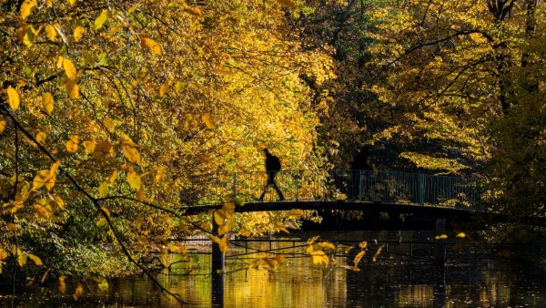 Am Donnerstag gibt es in NRW sonniges Wetter. - © Rolf Vennenbernd/dpa
