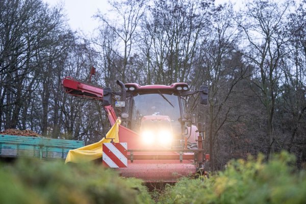 Von einem Landwirt werden die letzten Karotten mit einem Möhrenroder vom Feld geerntet. - © Guido Kirchner/dpa