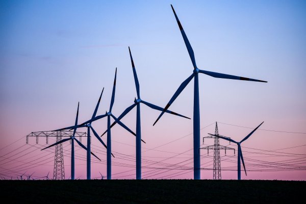 Wind ist der wichtigste erneuerbare Stromlieferant im Osten. (Archivbild) - © Jan Woitas/dpa