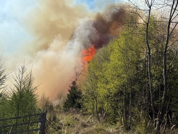 Hunderte Einsatzkräfte waren bei Waldbränden in Nordrhein-Westfalen im Einsatz, zum Beispiel bei diesem Brand in Sundern im Sauerland. (Foto: Feuerwehr Sundern) - © -/Feuerwehr Sundern/dpa