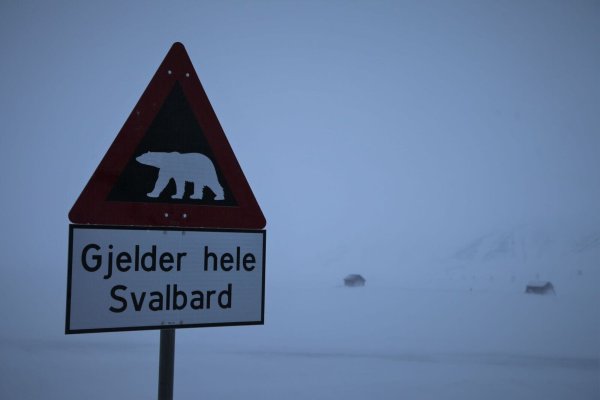 Ein Schild warnt auf Spitzbergen vor Eisbären. (Symbolbild) - © Steffen Trumpf/dpa