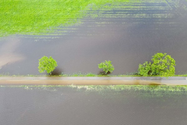 Ganze Wiesen und Felder sind nach den anhaltenden Regenfällen überschwemmt. Das hat auch Folgen für die Landwirtschaft. - © Marius Bulling/onw-images/dpa