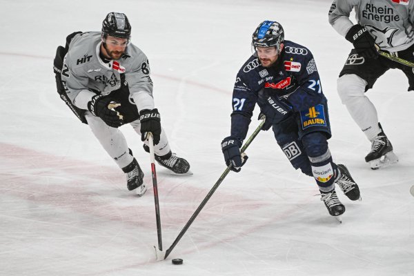 Die Kölner Haie mit Alexandre Grenier (l) verpassten gegen den ERC Ingolstadt um Wayne Simpson (r) den Einzug ins Finale nach Spiel fünf. - © Armin Weigel/dpa