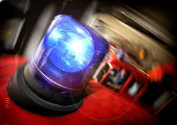 59 Tauben befanden sich am Dienstagabend in einem Verschlag, als dieser komplett abbrannte. Vermutlich konnte sich keines der Tiere retten. - &copy; Symbolfoto: Sarah Jonek