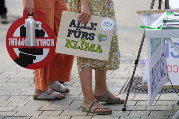 Menschen nehmen an einer Demo von Fridays for Future teil. - © Henning Kaiser/dpa