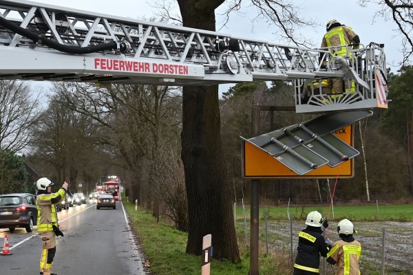 Der Sturm über NRW lässt Bäume umstürzen. - © Bludau/dpa