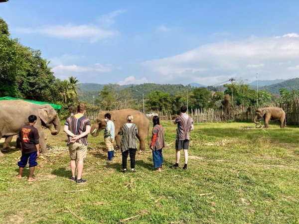 In thailändischen Elefantencamps kommen Touristen den Tieren ganz nahe. (Archivbild) - © Carola Frentzen/dpa