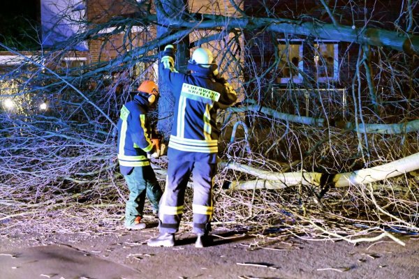 Schwere Sturmböen in Teilen NRW wehen Bäume um - im Zugverkehr gibt es Sperrungen und Behinderungen. (Archivbild) - © Alexander Forstreuter/-/dpa