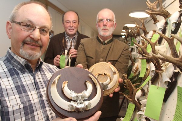 Präsentieren die „Trophäen“ der Kreisjägerschaft Lippe: Stefan Beling, Obmann für Öffentlichkeitsarbeit (links), und Kreisjagdberater Wilhelm Meier (rechts) zeigen gemeinsam mit dem Geschäftsführer Gero Splettstößer Keilergewaffe von Schwarzwild. - © Julia Mausch