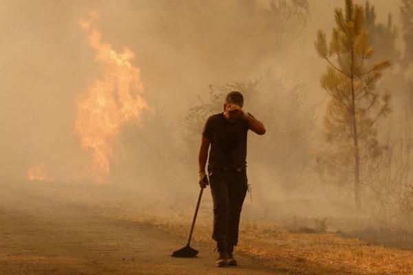 Das extrem heiße Wetter, die zusätzliche Gluthitze der Brände und der viele Rauch bringt die Brandbekämpfer an den Rand ihrer Kräfte. - © Lalo R. Villar/AP/dpa