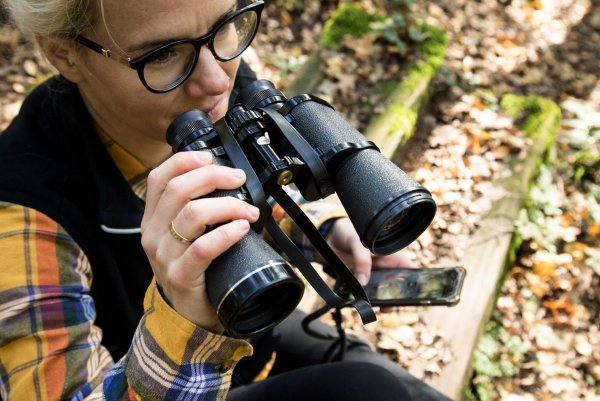 Nicht sicher, welcher Vogel da zwitschert? Die App Merlin Bird ID hilft. - © Christin Klose/dpa-tmn