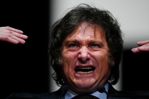 Javier Milei will die meisten Ministerien abschaffen, den US-Dollar als offizielles Zahlungsmittel einführen, die Sozialprogramme radikal zusammenstreichen und Staatsbetriebe privatisieren. - © Natacha Pisarenko/AP