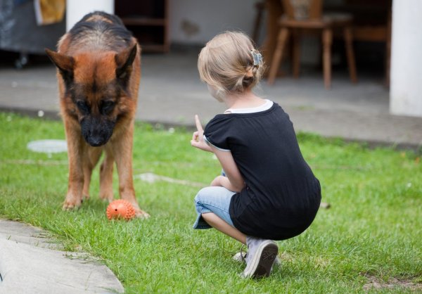 Hund und Kind - © Foto: Silvia Marks